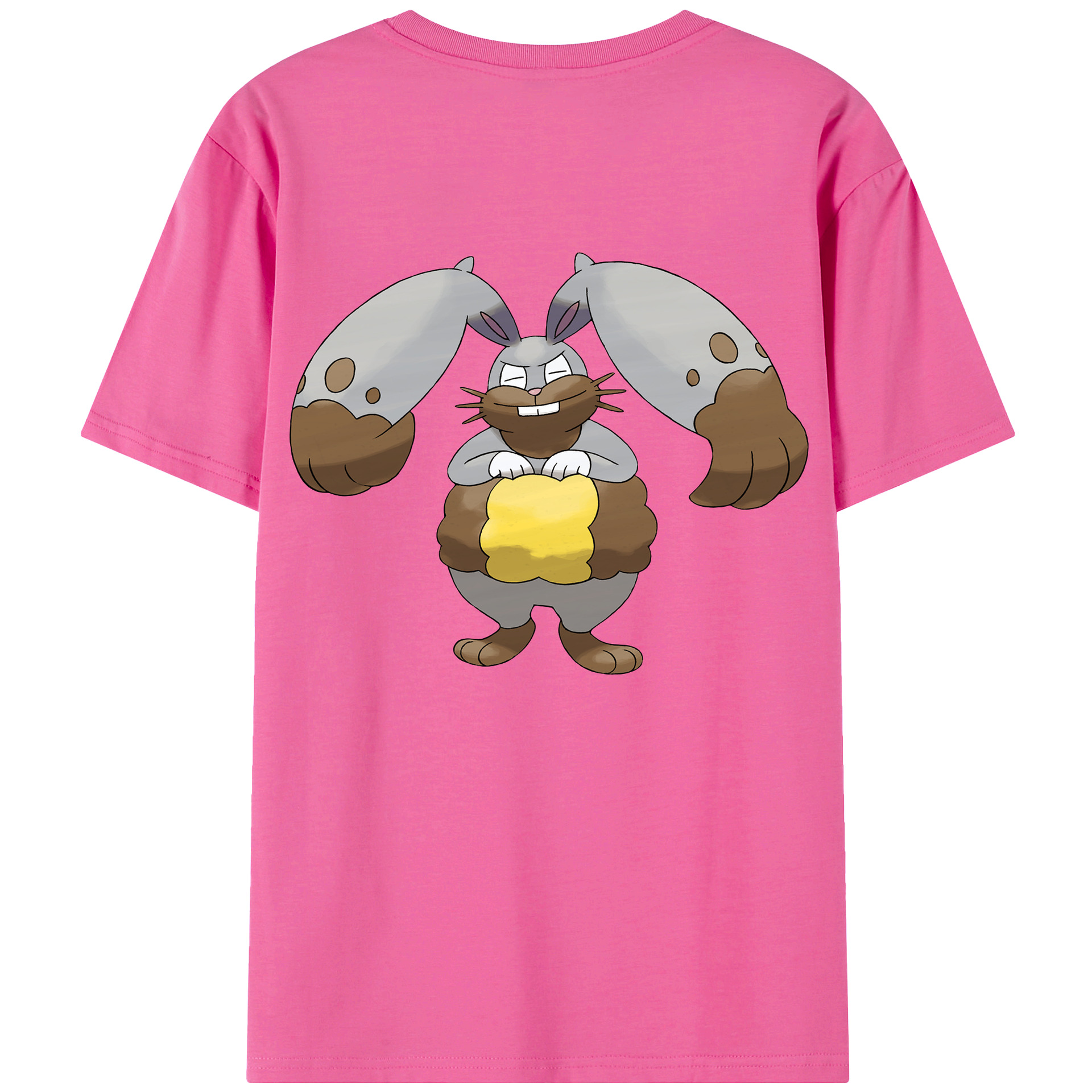 （画像用） ポケットモンスター Pokémon レディース半袖Tシャツ(バックプリント)